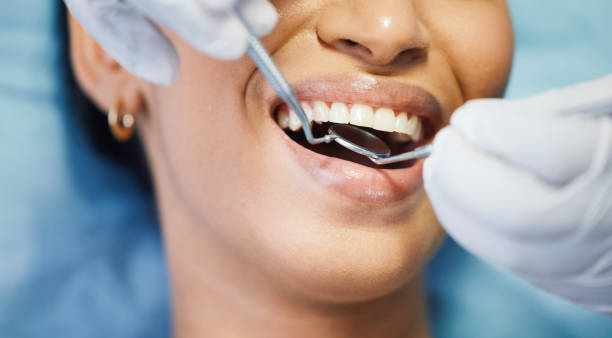 Best Emergency Dental Services for Seniors in Collinwood, TN